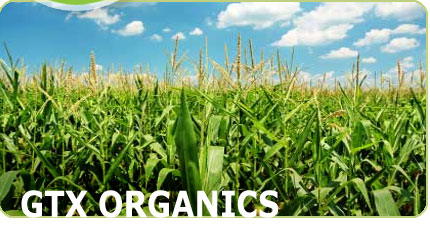 image-left-gtx-organics