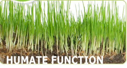 image-left-humic-function