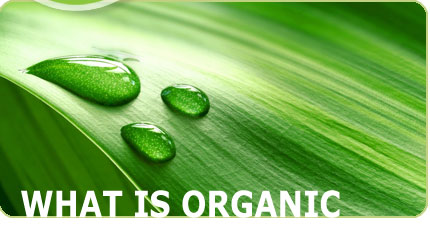 image-left-organics