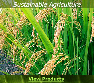 Agriculture
